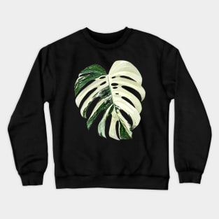 MONSTERA DELICIOSA ALBO VARIEGATED Crewneck Sweatshirt